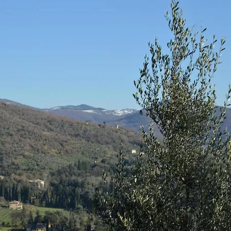 In With Pool And Val Di Chiana View 别墅 *
