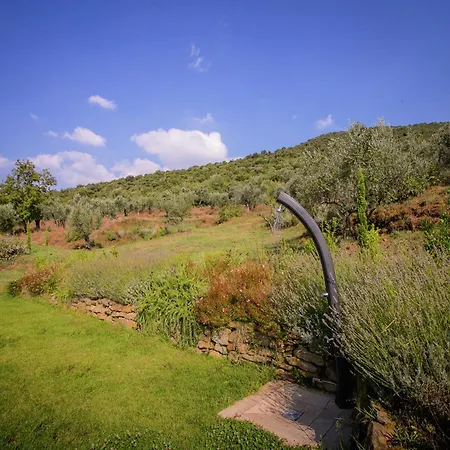 In With Pool And Val Di Chiana View 别墅