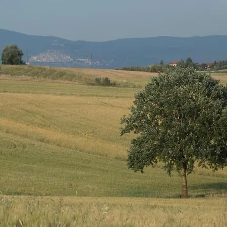 In With Pool And Val Di Chiana View 别墅 哥尔顿